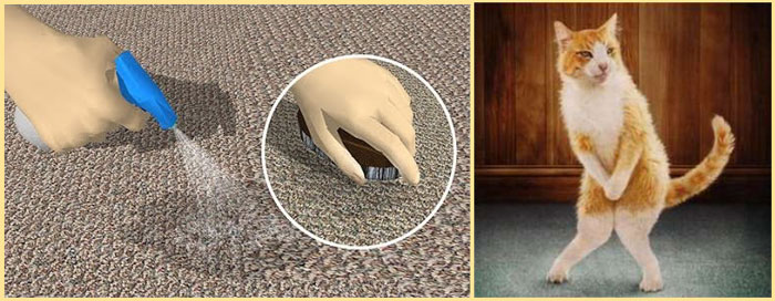 Удаление запахов